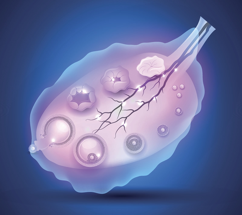 云南做一次试管整体费用明细表，哪里便宜